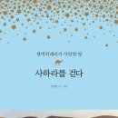 사하라 이미지
