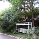 강림면381 이미지