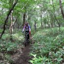 정실농장 이미지