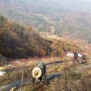주밤농장 네이버블로그