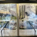 슈트라 하우스 B동 이미지