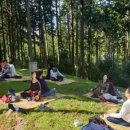 정남진 편백숲 우드랜드 이미지