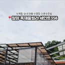 세인트354 이미지