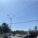 맘스터치(서생) | [울주군카페/서생면카페] 영화같은 오션뷰가 펼쳐지는 서생카페 그릿비