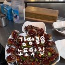 또와요포장마차 | 양재역 술집 노포 포차 <와따가> 내돈내산 안주맛집 솔직후기