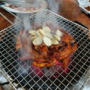 손가아나고꼼장어