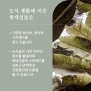 강동테라피