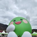 3월 가볼 만한 곳 광양 매화마을 봄나들이 홍매화 개화시기