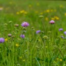 유한회사 자유 이미지