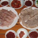 홍탁을아시나요 네이버블로그