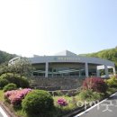 일영 이미지