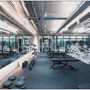 빌리버짐 이미지