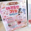 임곡1 | 광주 임곡 맛집 카페 아르보, 분위기 좋은 드라이브 카페 솔직 후기