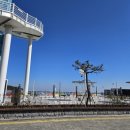 할매손맛집 | 울산 해녀 할매 해물 집 낮술 리얼 후기