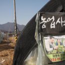 씨앗과강
