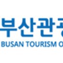 부산교통관광㈜ 이미지