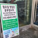 백조품은오리 이미지