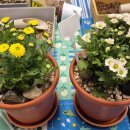 당진1동행정복지센터 이미지