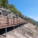 ** 출발취소 ** [울산안내산악회] 3월25일(수) 순창 용궐산 하늘길+ 체계산 출렁다리 이미지