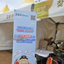 🍁25年10月(17日,19日)경기정원문화박람회 이미지