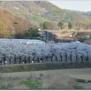 광탄한의원 이미지