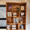 요광 | 제주올레길 17 코스 추천 가볼만한곳 제주책방 제주 고씨주택