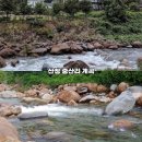 숲속계곡 쉴만한물가 | 산청 중산리 계곡 펜션 리스트 추천