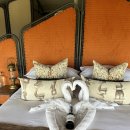 익명동물2005-식 | 탄자니아 신혼여행: 아모트래블과 함께한 내돈내산 아프리카 여행 후기