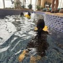 아쿠아플러스(주)하남점 | 하남 아쿠아필드 방문 후기 ✨