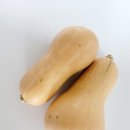 양자농장 이미지