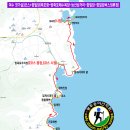 향일암전망대 이미지