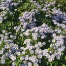 슬도주차장 이미지