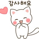 텐퍼센트반여선수촌점 이미지