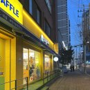 와플대학 미사중앙캠퍼스 | 와플대학 메뉴 두바이와플 가격, 지점, 출시, 칼로리, 초코스노우 후기