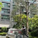 서초쇼핑 이미지