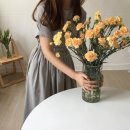 편안꽃 이미지