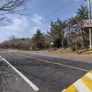 복마니공인중개사사무소 이미지