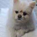 언니언니김밥 이미지