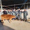 김동기축사 이미지