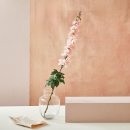 모조하우스 이미지