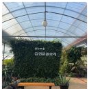 김정문알로에가족사랑 이미지