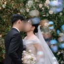 [W03] 라임제이 | 본식 스냅 | 촬영후기 | ⭐추천⭐