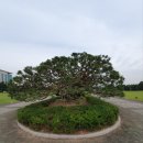 주식회사 카우보이 이미지