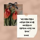 일구구사서울(1994SEOUL) 이미지