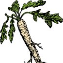 평동밧데리 이미지