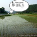 별이네 이미지