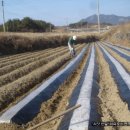 지명농장 이미지