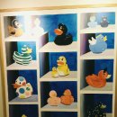 오리대가 이미지