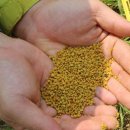 대암산 등산로 입구 이미지