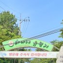 닭스치킨;카츠 | [인천/영종도] 갑작스런 이별에 대처하는 우리들의 돼지런한 자세